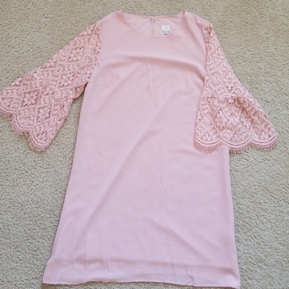Pale Pink Bell Sleeve A-Line Dress